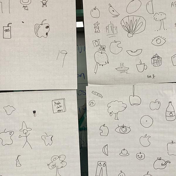 Four sheets of paper with sketches of various forms of apples.